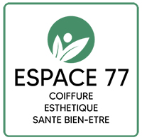 ESPACE 77 Logo